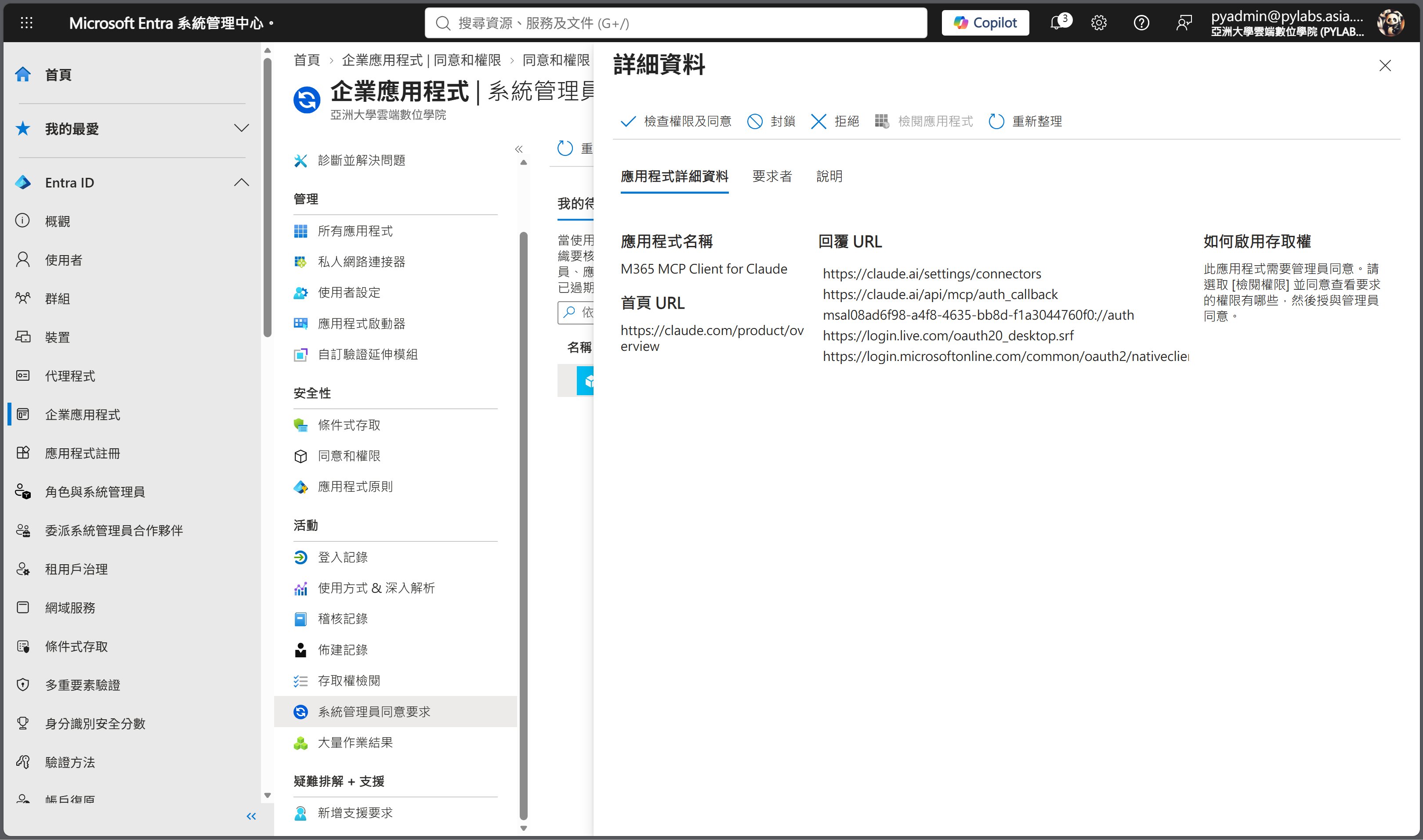 詳細資料面板應用程式詳細資料頁籤